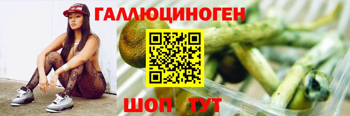 Галлюциногенные грибы MAGIC MUSHROOMS  Вход с VPN  Псилоцибиновые грибы Psilocybine cubensis  Ессентуки 